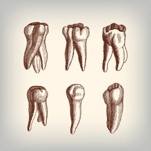 preserving teeth